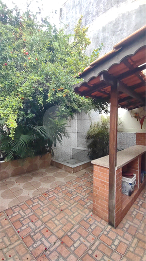 Foto REO1079232