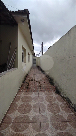 Foto REO1079232