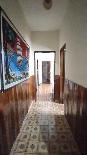 Foto REO1079232