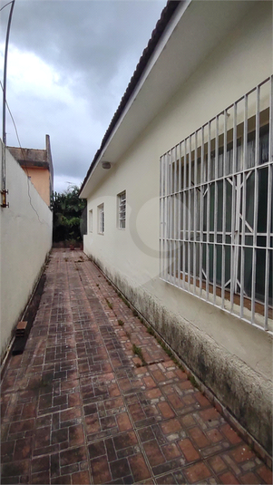 Foto REO1079232