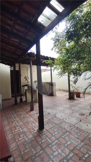 Foto REO1079232