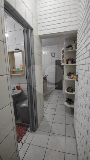 Foto REO1079232