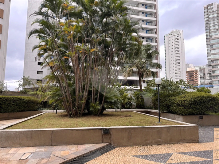 Foto REO1079236