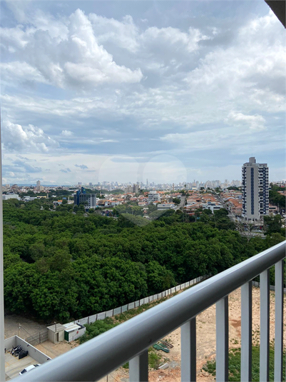 Foto REO1079247