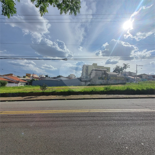 Foto REO1079261