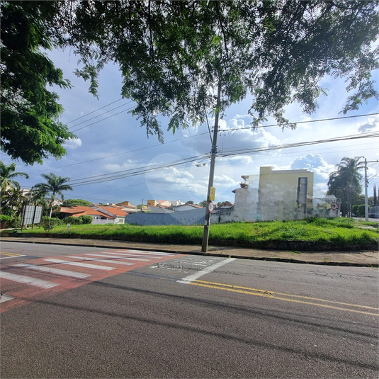 Foto REO1079261