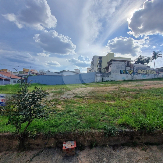 Foto REO1079261