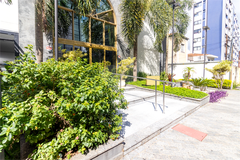 Foto REO1079268