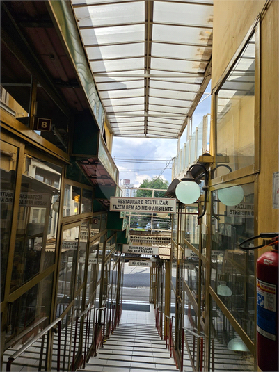 Foto REO1079283