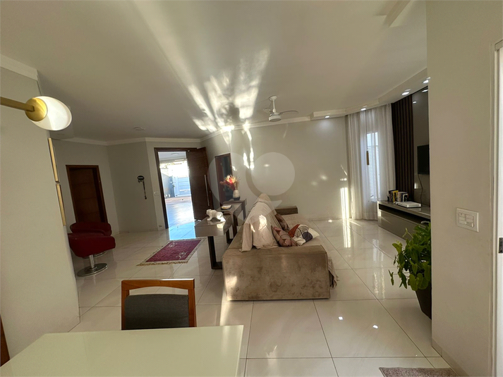 Foto REO1079286