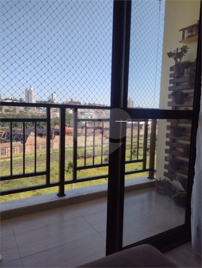 Foto REO1079312