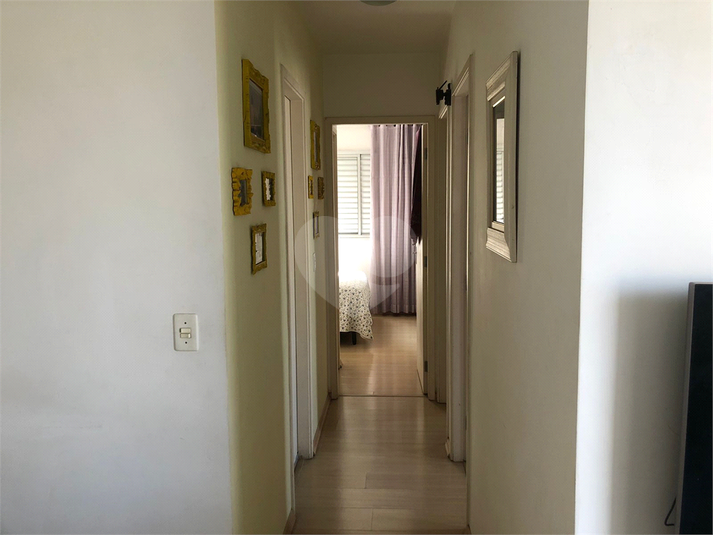 Foto REO1079317
