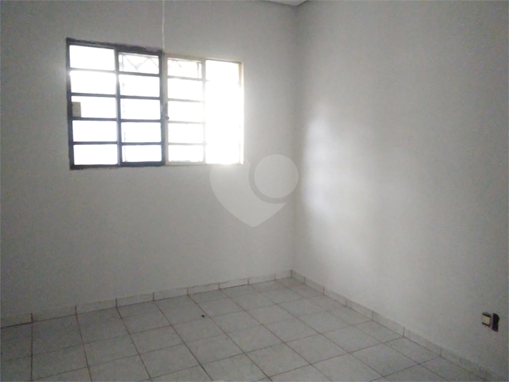 Foto REO1079322