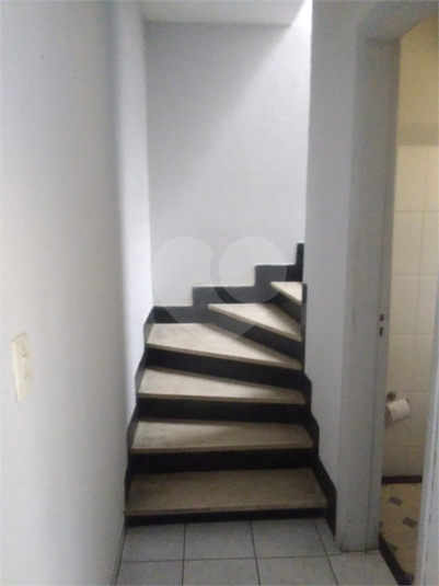 Foto REO1079322