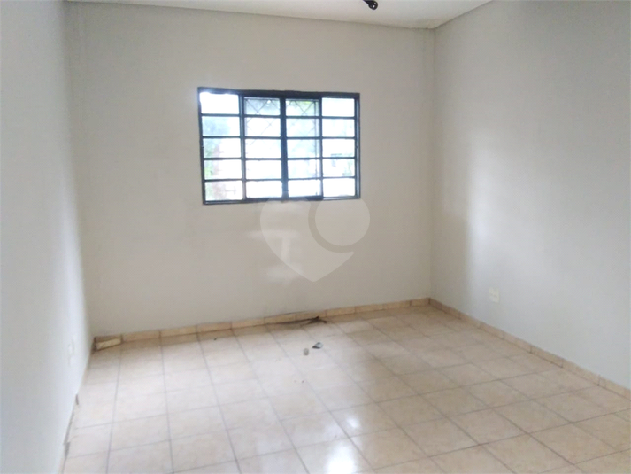 Foto REO1079322