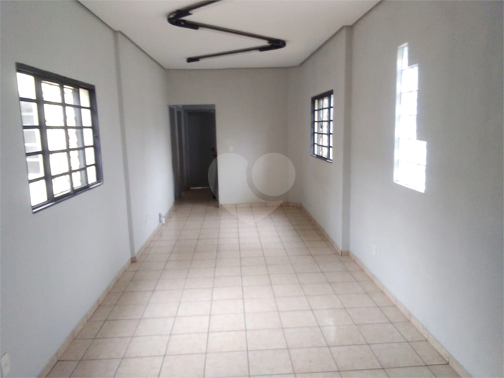 Foto REO1079322