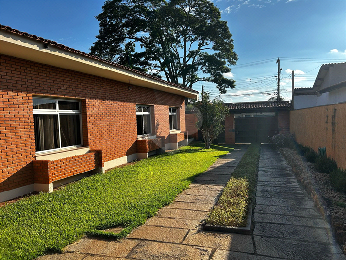 Foto REO1079330