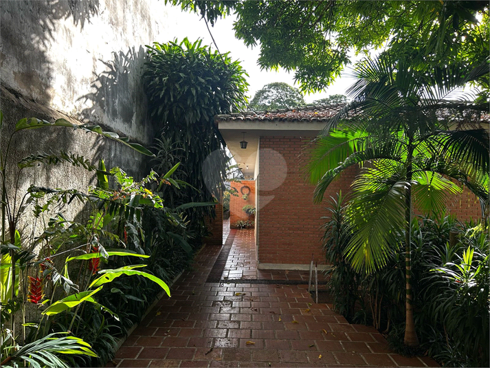 Foto REO1079330