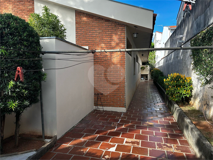 Foto REO1079330