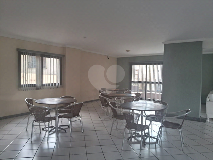 Foto REO1079332