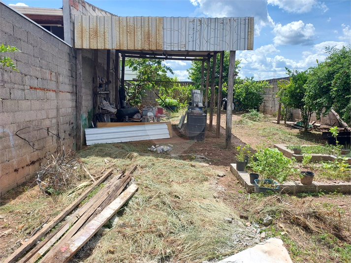 Foto REO1079338