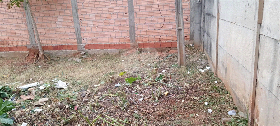 Foto REO1079341