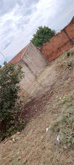 Foto REO1079341