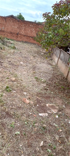 Foto REO1079341