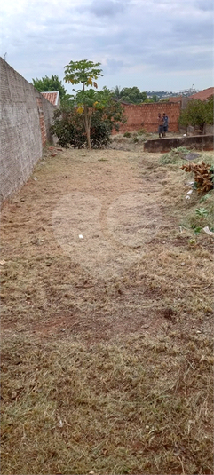 Foto REO1079341