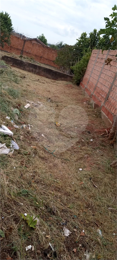 Foto REO1079341