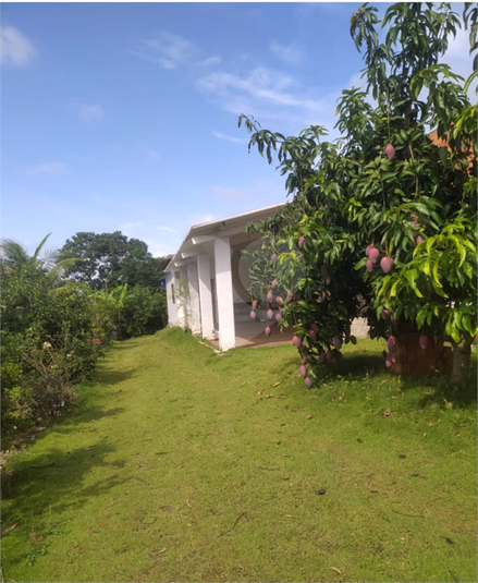 Foto REO1079342