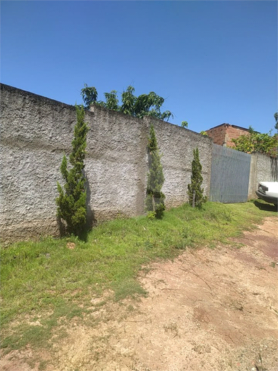 Foto REO1079342