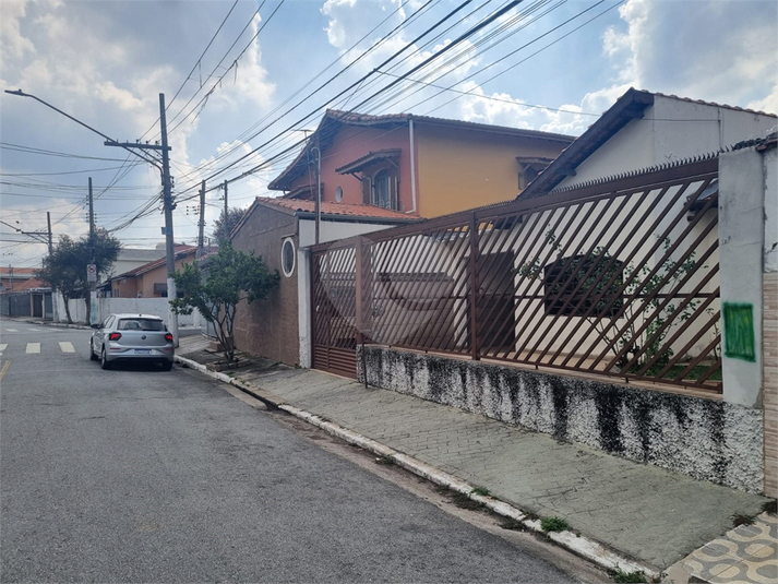 Foto REO1079344