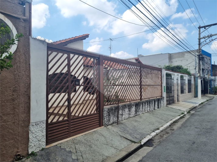 Foto REO1079344