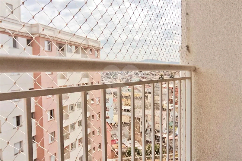 Foto REO1079413