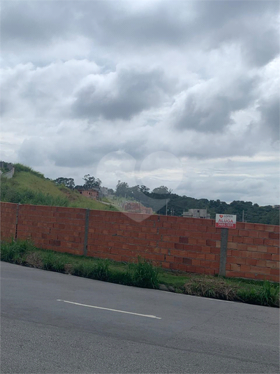 Foto REO1079416