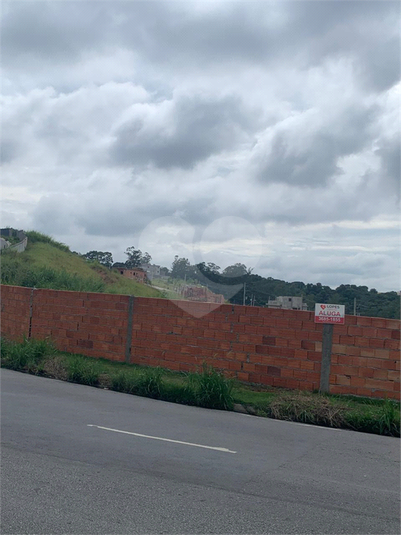 Foto REO1079416