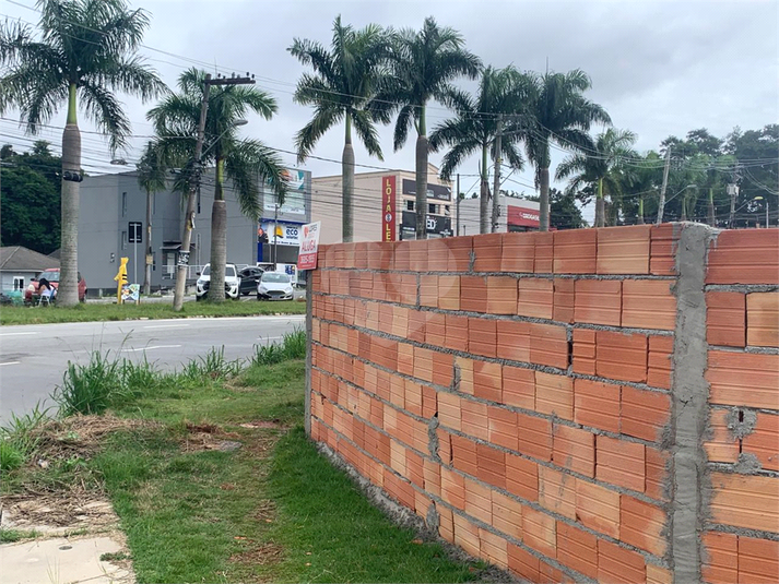 Foto REO1079416