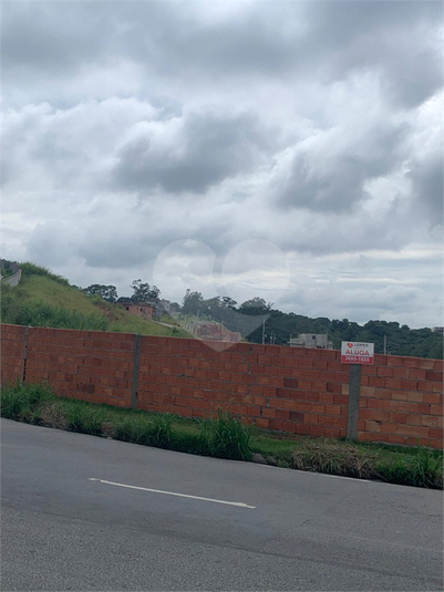 Foto REO1079416