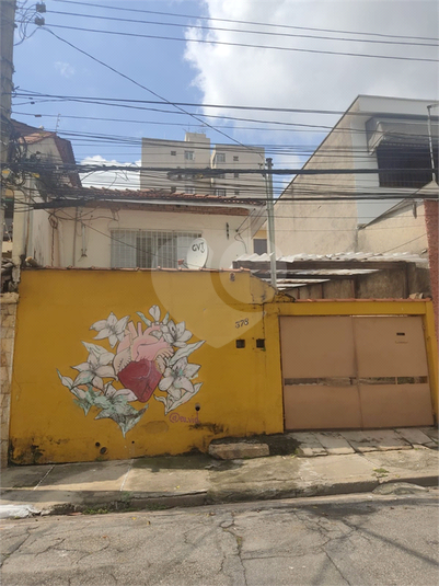 Foto REO1079419