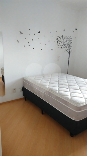 Foto REO1079424