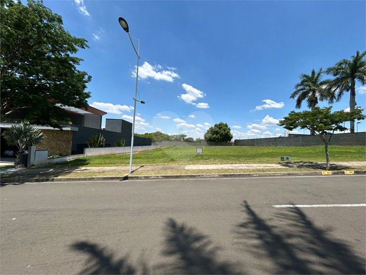 Foto REO1079426
