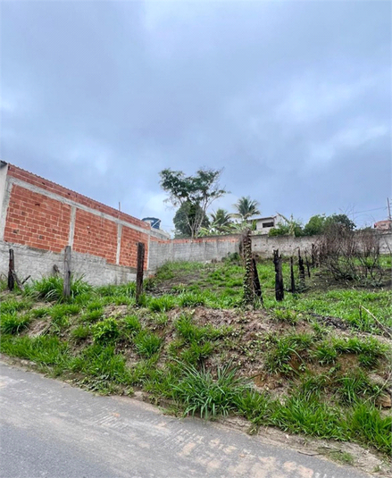 Foto REO1079433