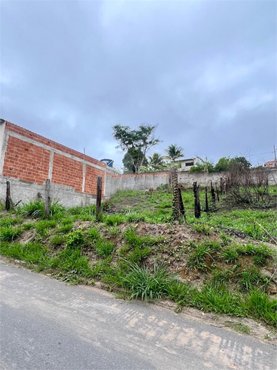 Foto REO1079433