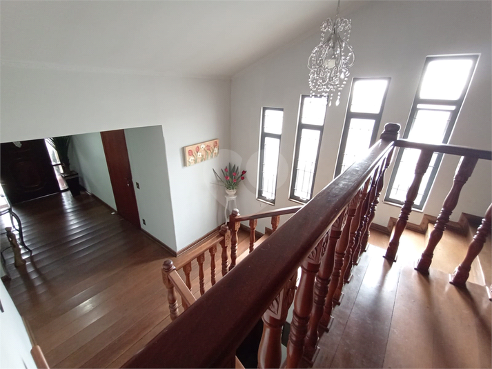 Foto REO1079449