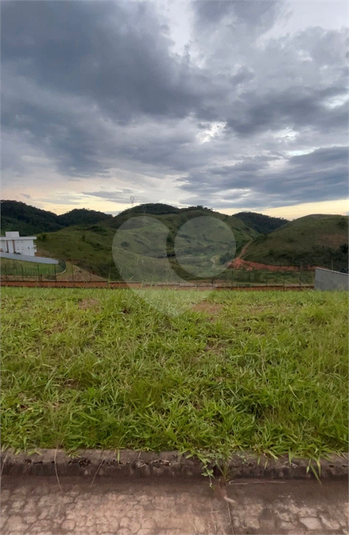 Foto REO1079453