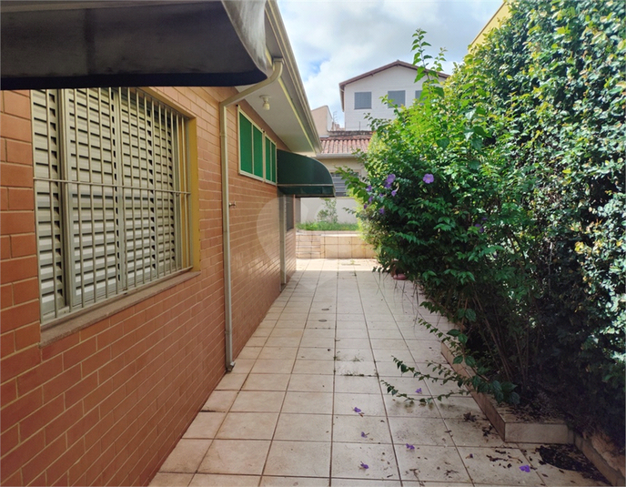 Foto REO1079471