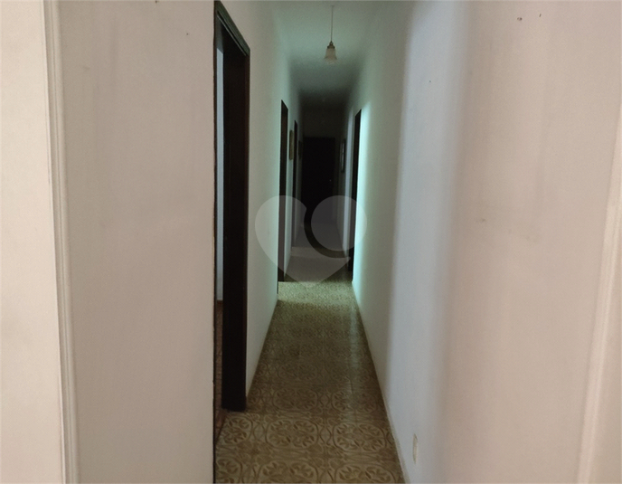 Foto REO1079471
