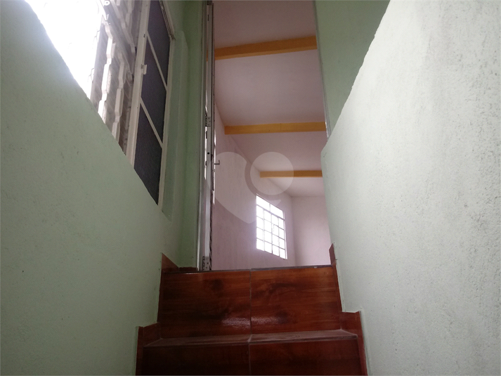 Foto REO1079478