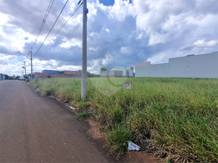 Foto REO1079489